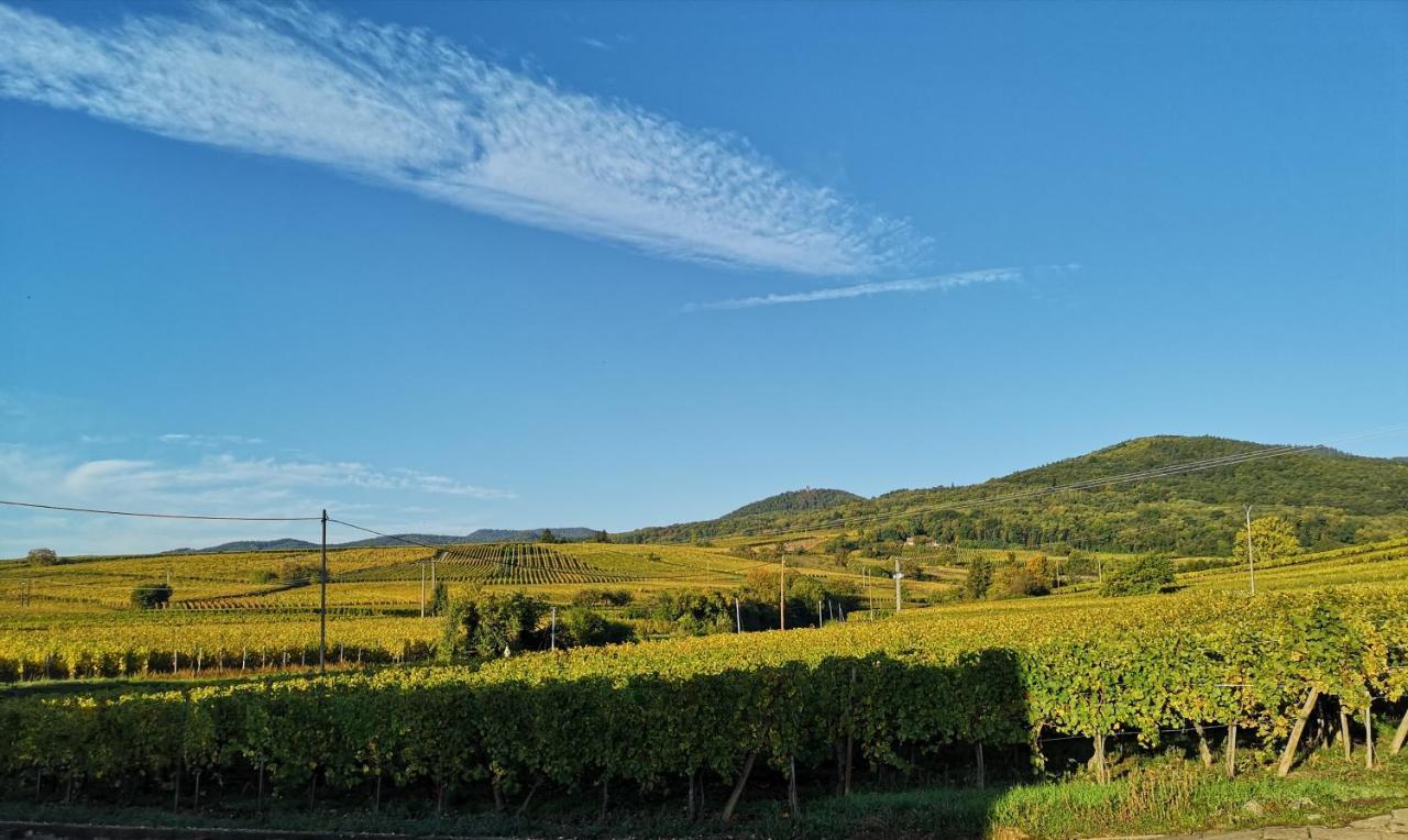Cocon De Caractere Au Coeur Des Vignes Alsaciennes Apartment Бергхайм Екстериор снимка