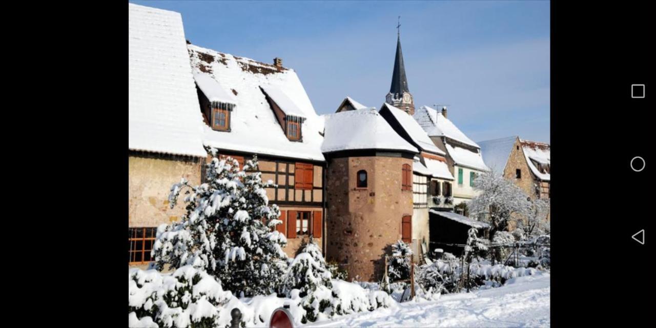 Cocon De Caractere Au Coeur Des Vignes Alsaciennes Apartment Бергхайм Екстериор снимка